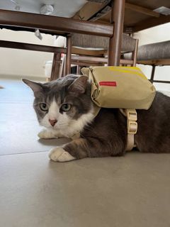 (Category: ) located in . Submitted by charitypot (Listing ID 1302681877, Image 1). Description: .