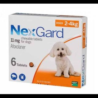 (Category: ) located in . Submitted by best-pricing-ever-pets (Listing ID 1302680253, Image 1). Description: .