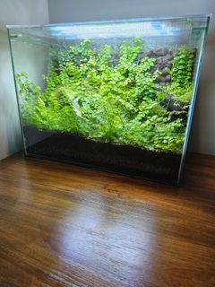 (Category: ) located in . Submitted by lin16. (Listing ID 1302677393, Image 1). Description: .