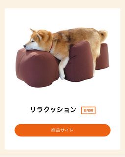 （分類：）位於 。 由 mimi_ar 提交（商品編號 1302782277，圖片 1）。簡介： 。