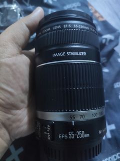 Canon 50-250mm, no issue