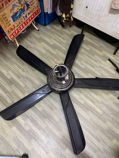 (Category: ) located in . Submitted by nzmzdn (Listing ID 1302870125, Image 1). Description: .