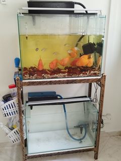 (Category: ) located in . Submitted by cathylim512 (Listing ID 1302870065, Image 1). Description: .