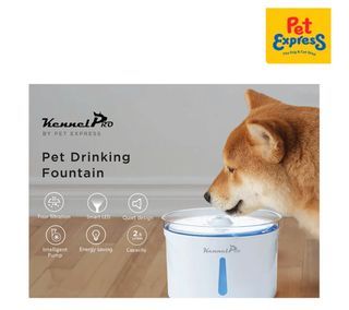 Kennel Pro Pet Drinking Fountain