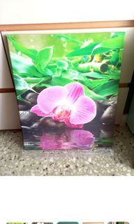 (Category: ) located in . Submitted by piggy55 (Listing ID 1302742050, Image 1). Description: .