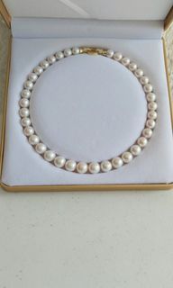 SALE: Premium Large Pearl Choker Necklace