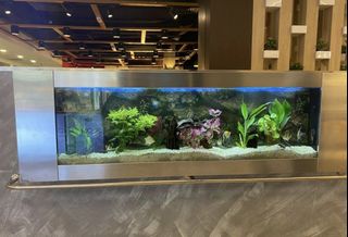 (Category: ) located in . Submitted by stalliondaze (Listing ID 1302819525, Image 1). Description: .