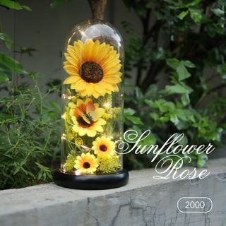 SUNFLOWER DOME IN A GLASS FOR MOTHER'S DAY