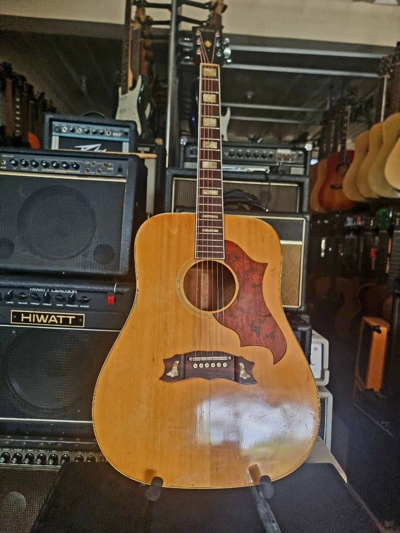 ギターTakamine Elite HM-30