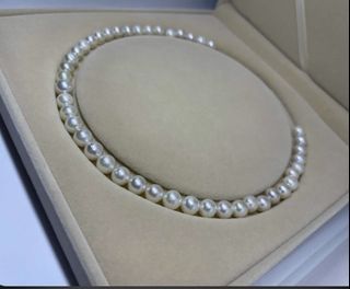 1 DAY SALE ONLY 22K south sea pearl choker necklace
