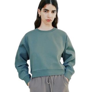 Zara Cropped Sweatshirt