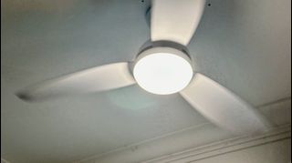 (Category: ) located in . Submitted by antonysd (Listing ID 1302928546, Image 1). Description: .