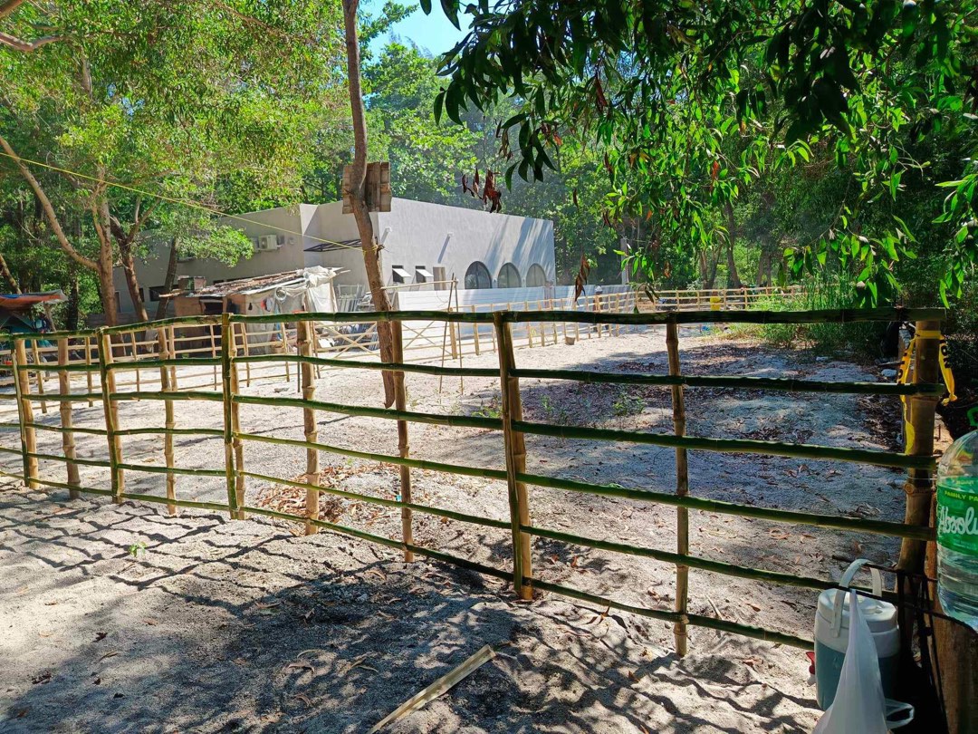 (Category: ) located in . Submitted by victorvale (Listing ID 1256880946, Image 1). Description: .