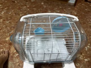 (Category: ) located in . Submitted by vanqs (Listing ID 1303032928, Image 1). Description: .