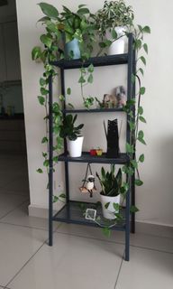 (Category: ) located in . Submitted by eradionov (Listing ID 1302929259, Image 1). Description: .