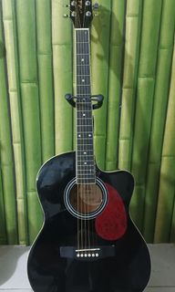 Acoustic Guitar with Pickup