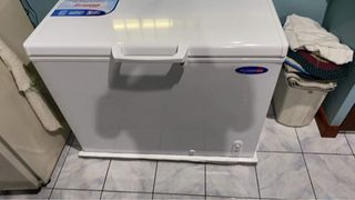 Fujidenzo Chest Freezer 10 cubic ft