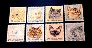 Hungary 1968 - Domestic Cats 8v. (unused) COMPLETE SERIES