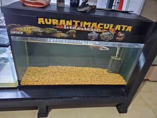(Category: ) located in . Submitted by azsham (Listing ID 1291542448, Image 1). Description: .