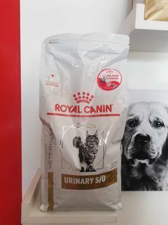 Royal Canin Urinary so cat