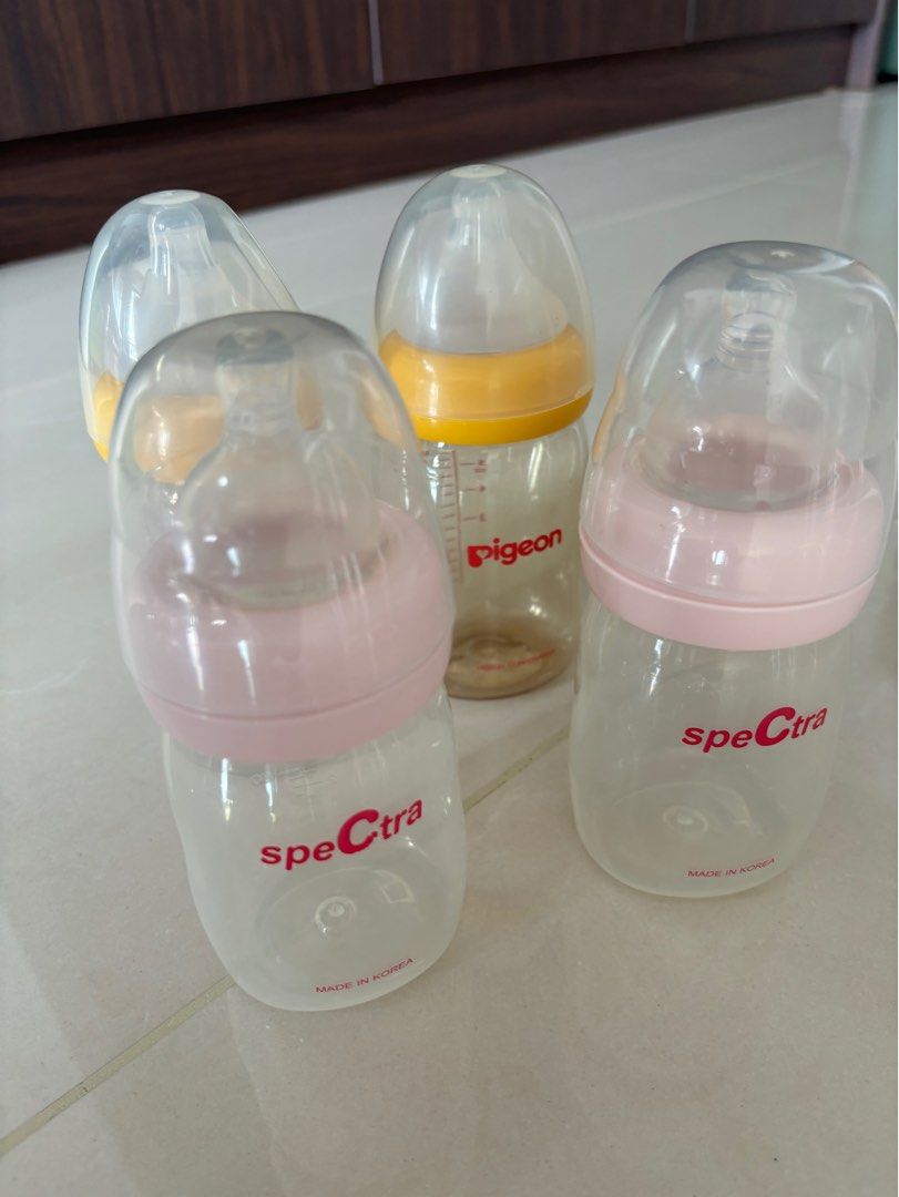 Spectra pigeon bottle clearance