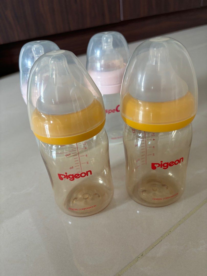 Spectra pigeon bottle clearance