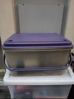 Storage Box with Handle