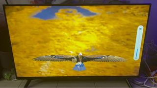 (Category: ) located in . Submitted by lavender28suzu (Listing ID 1303257603, Image 1). Description: .
