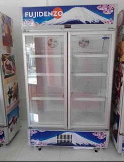 Double Door Freezer