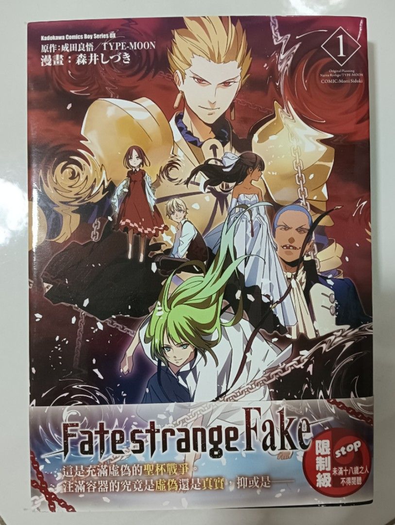Fate Strange Fake Chinese Manga Volume 1 中文漫画, Hobbies & Toys