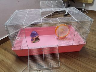 (Category: ) located in . Submitted by chiawah (Listing ID 1303328948, Image 1). Description: .
