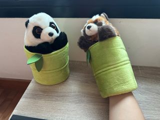 (Category: ) located in . Submitted by decluttercoala (Listing ID 1303344014, Image 1). Description: .