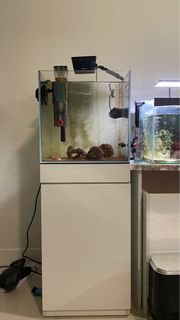 (Category: ) located in . Submitted by izzat9495 (Listing ID 1303356176, Image 1). Description: .