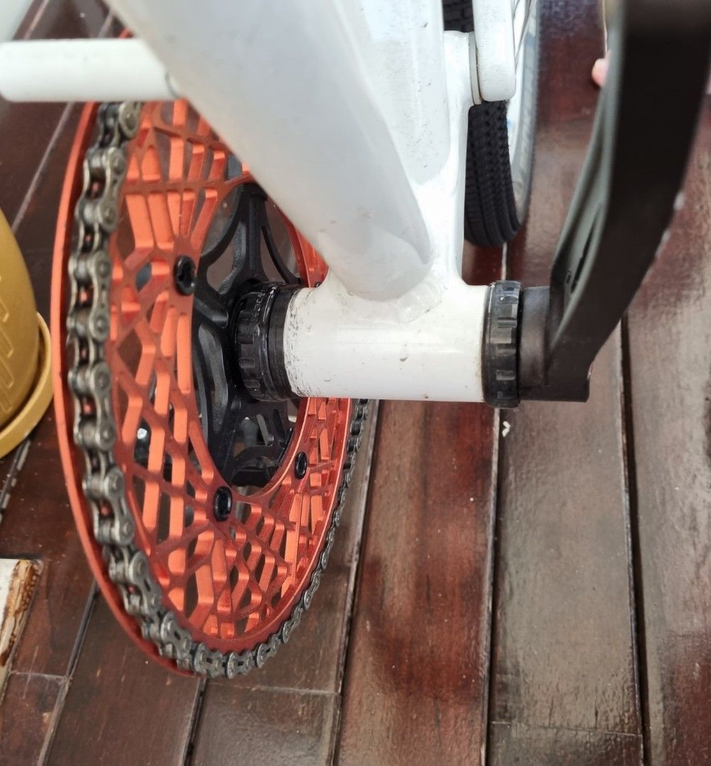 BIRDY RIESE UND MULLER BD-1, Sports Equipment, Bicycles BIRDY RIESE UND MULLER BD-1, Sports Equipment, Bicycles