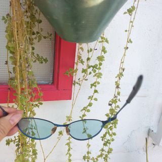 Vintage Oakley Teaspoon Sunglasses Shiny Blue Rare