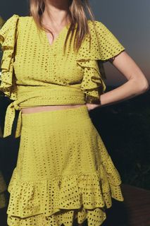 Zara embroidered skirt