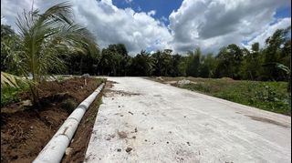 300sqm Indang Cavite Farm Lot for sale Ready to use