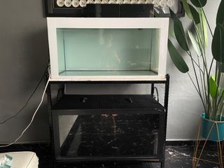 (Category: ) located in . Submitted by jepunnn (Listing ID 1303519298, Image 1). Description: .