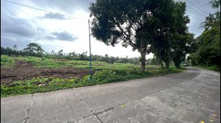 Along Brgy. Road Farm Lot for sale in Alfonso near Tagaytay