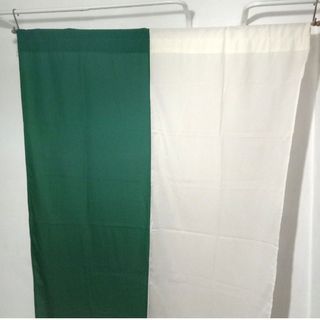 Brandless Green/White Curtain (Buy 1 Take 1) (Sale)