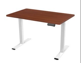 Flexipot E1N Ergonomic Height -Adjustable Standing Desk 2 Motor Stage With Tabletop