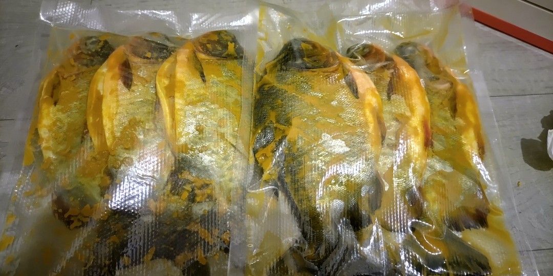 Ikan Bawal Air Tawar Vs Laut: Mana yang Lebih Lezat dan Sehat?