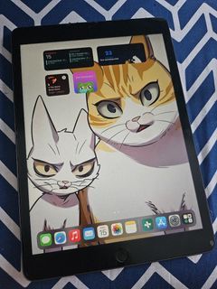 iPad 9th Gen (late 2022)