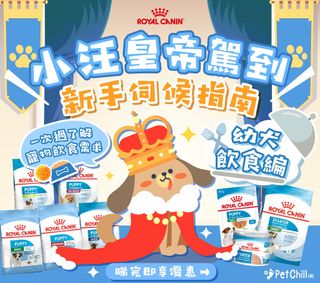 （分類：）位於 。 由 petchillhk 提交（商品編號 1303686094，圖片 1）。簡介： 。