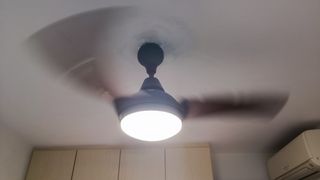 (Category: ) located in . Submitted by munsterusa (Listing ID 1303648815, Image 1). Description: .