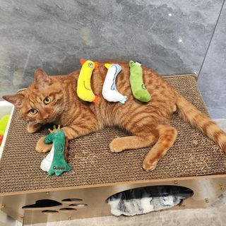 (Category: ) located in . Submitted by catwarehouse (Listing ID 1303357242, Image 1). Description: .