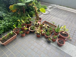 (Category: ) located in . Submitted by mashamoo (Listing ID 1302308181, Image 1). Description: .