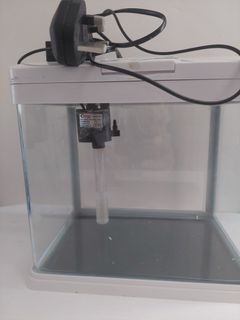 （分類：）位於 。 由 kashh62 提交（商品編號 1303598253，圖片 1）。簡介： 。