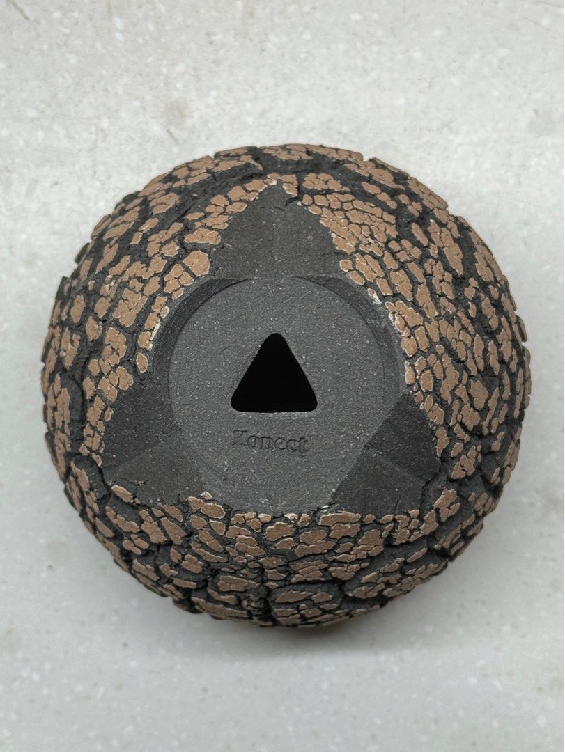 限定 konect fang xs 【公式通販】