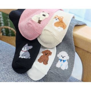 Korean Socks • Cute Dogs Iconic Socks